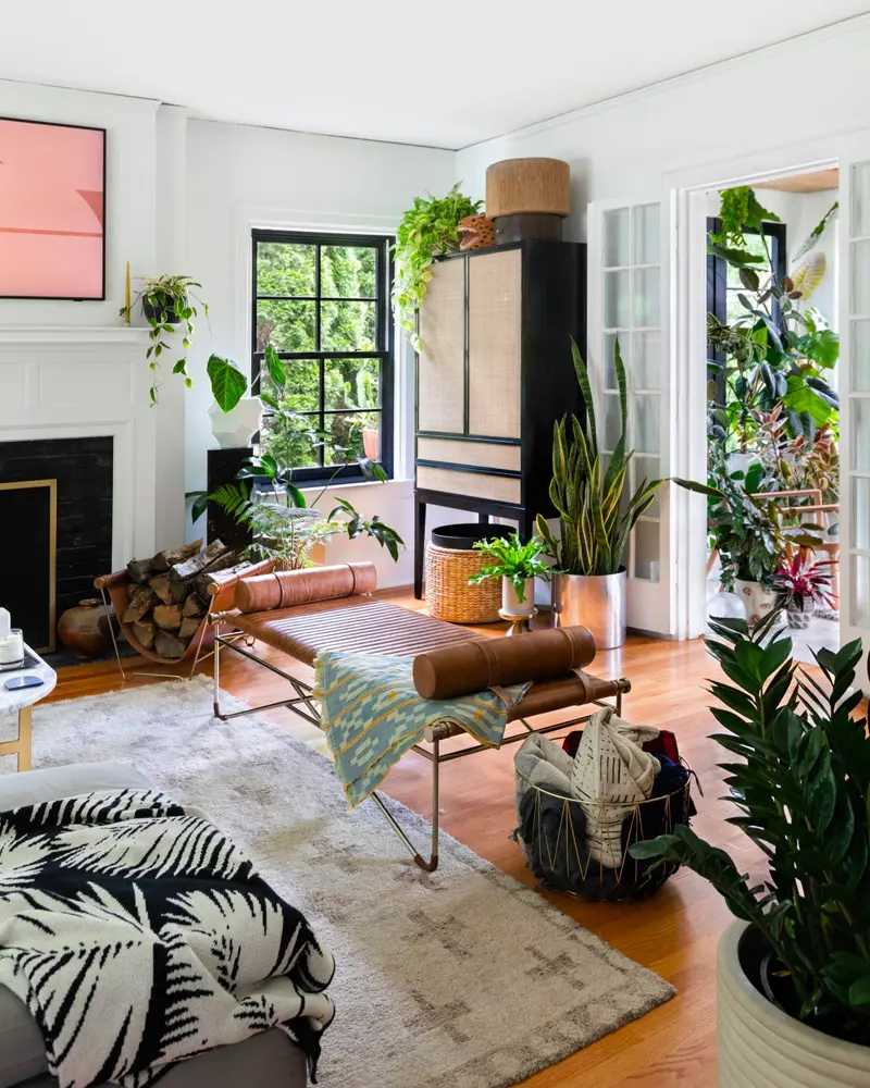 deco appartement tropical recup