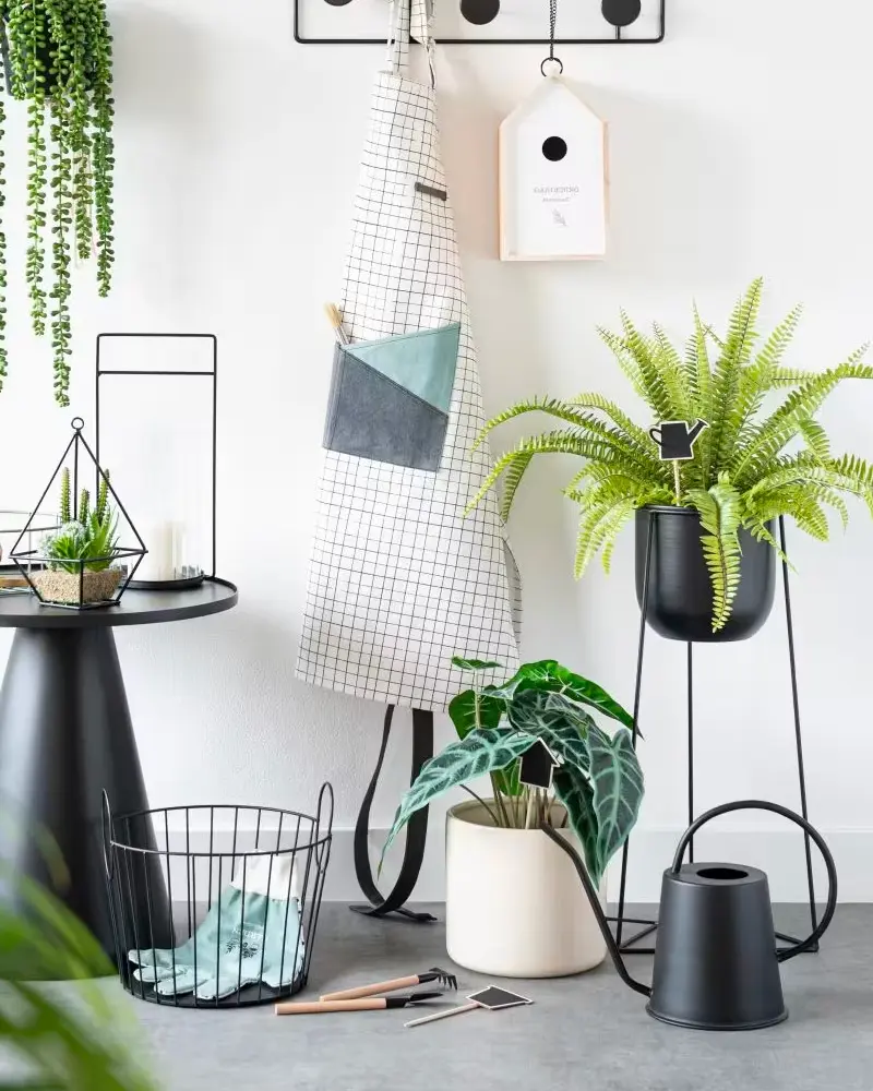 cache pot sur pied