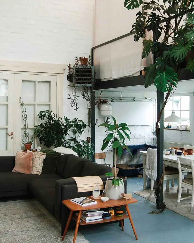 deco loft tropical salon