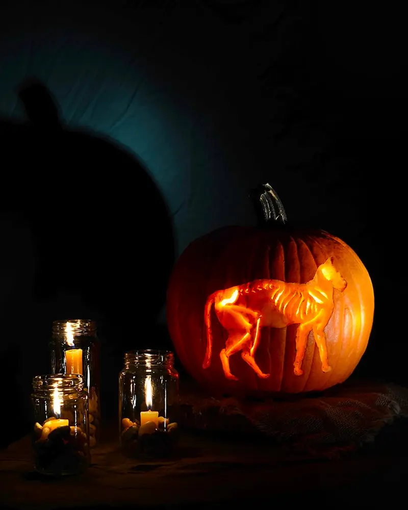 citrouille lumineuse diy halloween chat