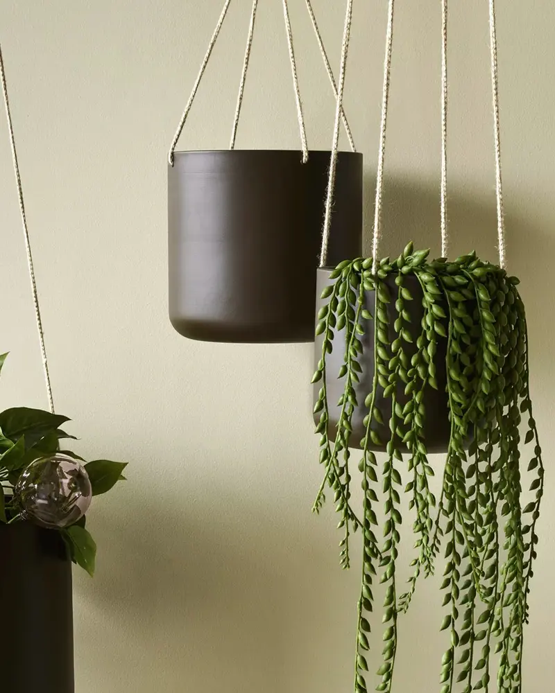 pot plante suspendu