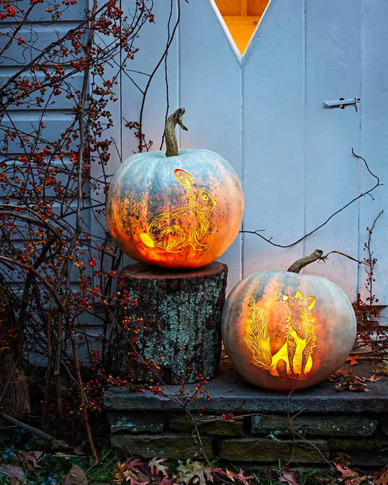 citrouille lumineuse diy halloween renard