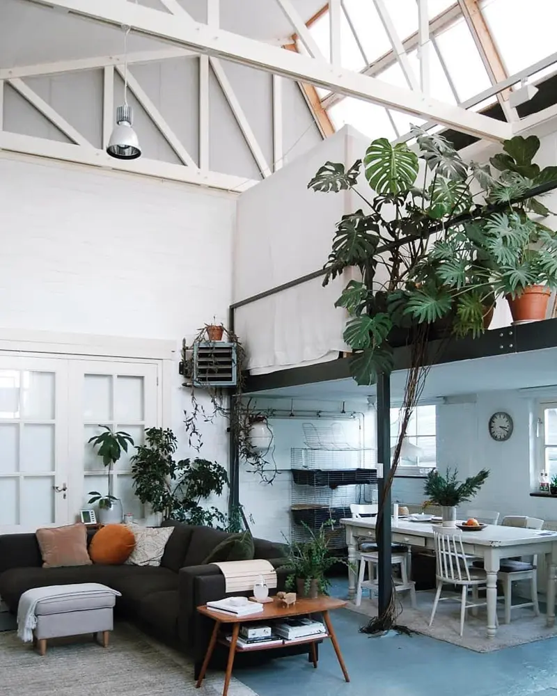 deco loft tropical salon
