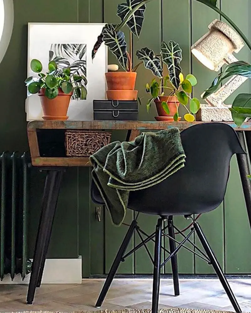 deco bureau tropical vert