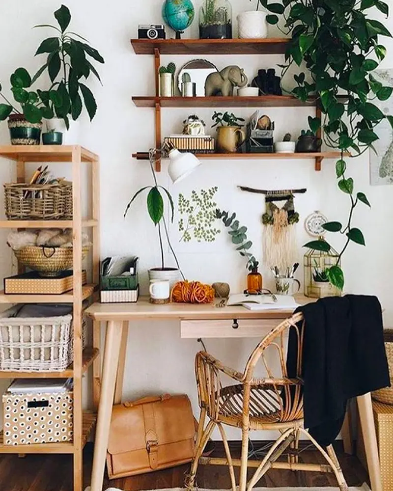 deco bureau tropical plantes