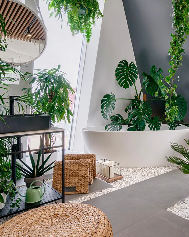 plantes deco salle de bain tropicale