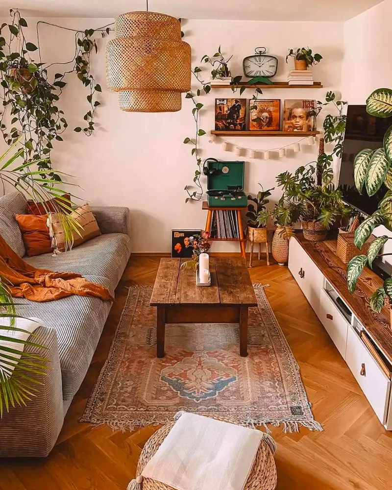 deco salon campagne plantes