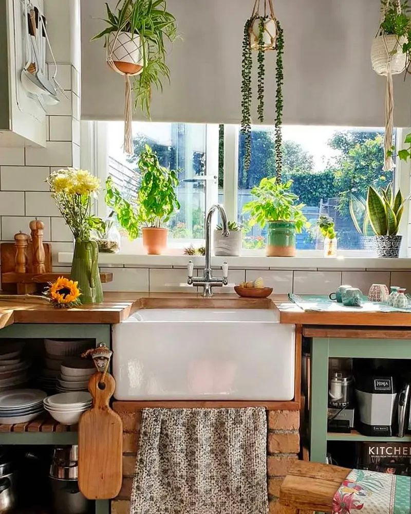 plantes deco cuisine campagne