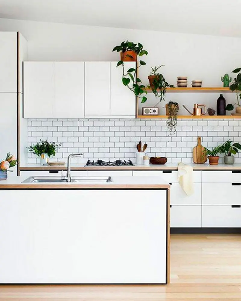 deco cuisine blanche plantes