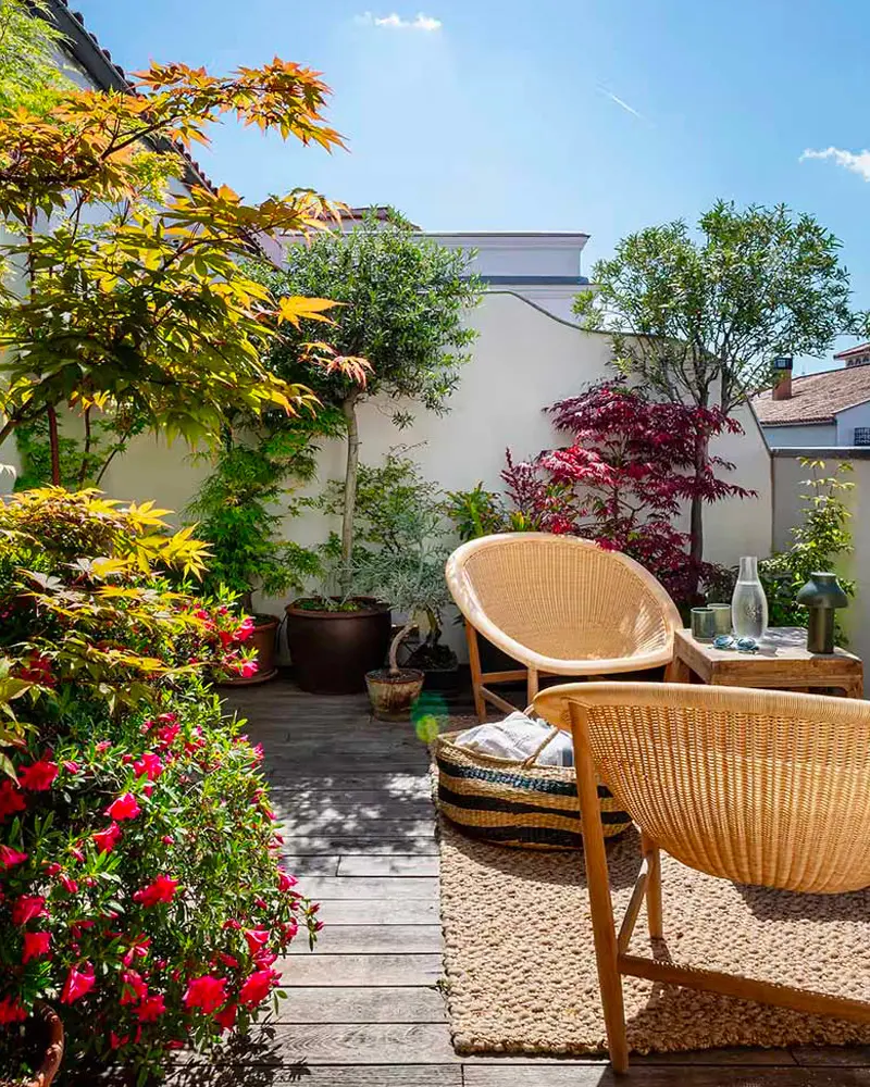 plante balcon automne
