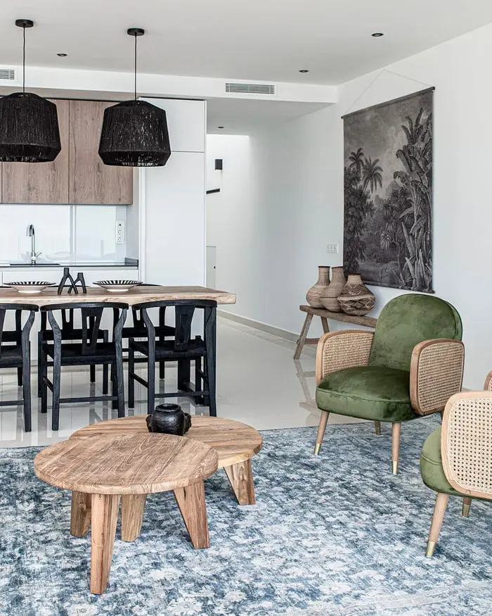 deco appartement ethnique noir bois salon