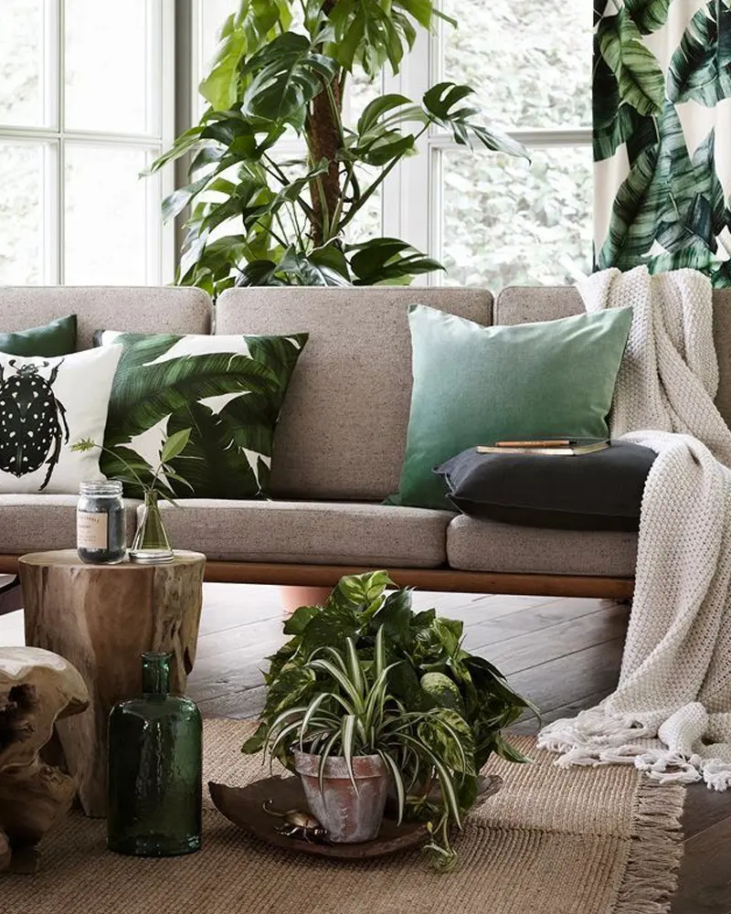deco salon tropical moderne