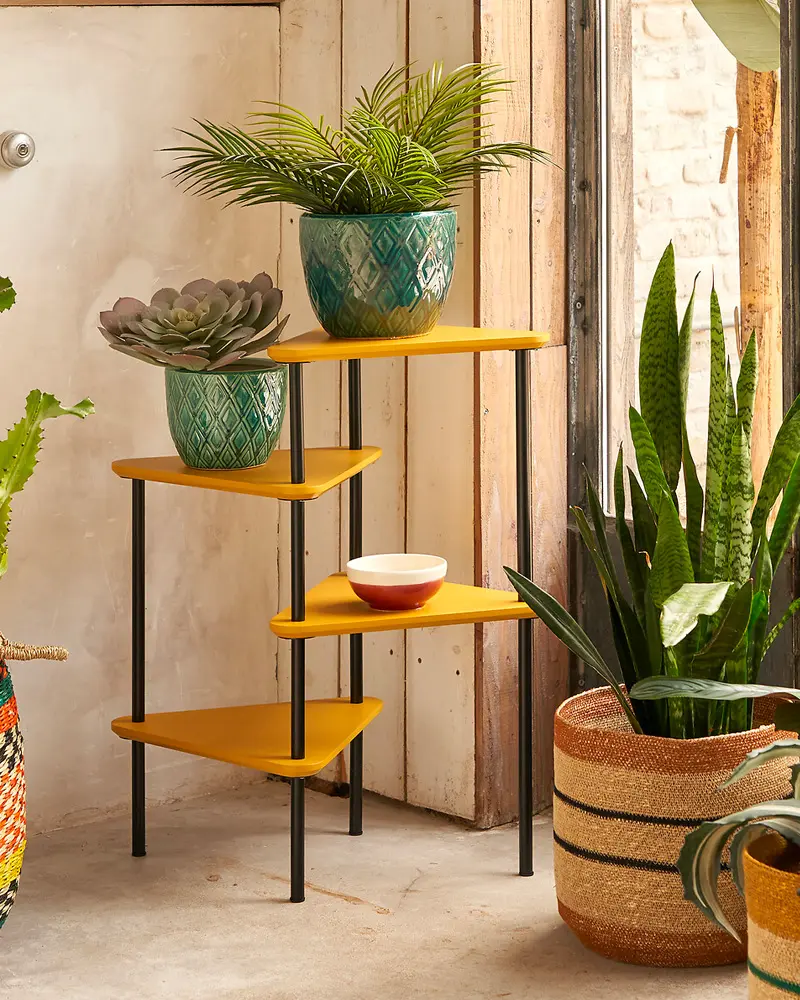 etagere plante angle