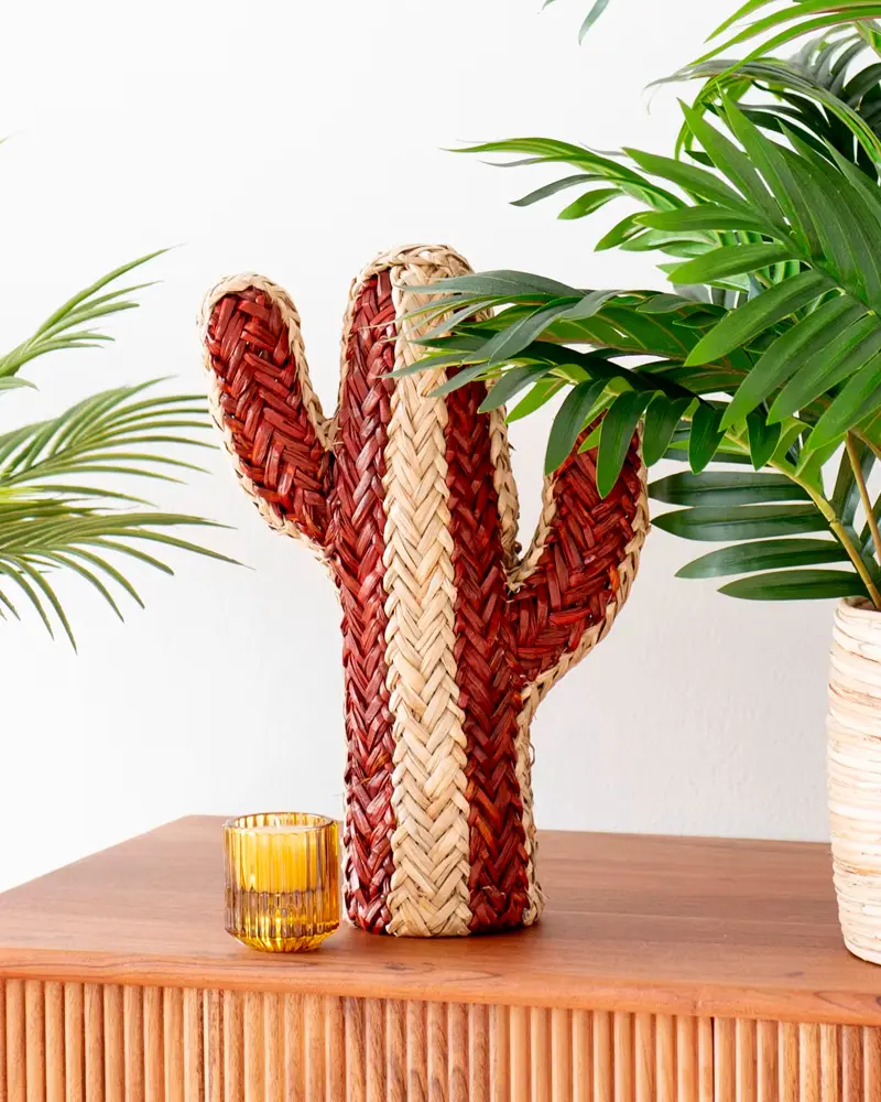 cactus tressage naturel