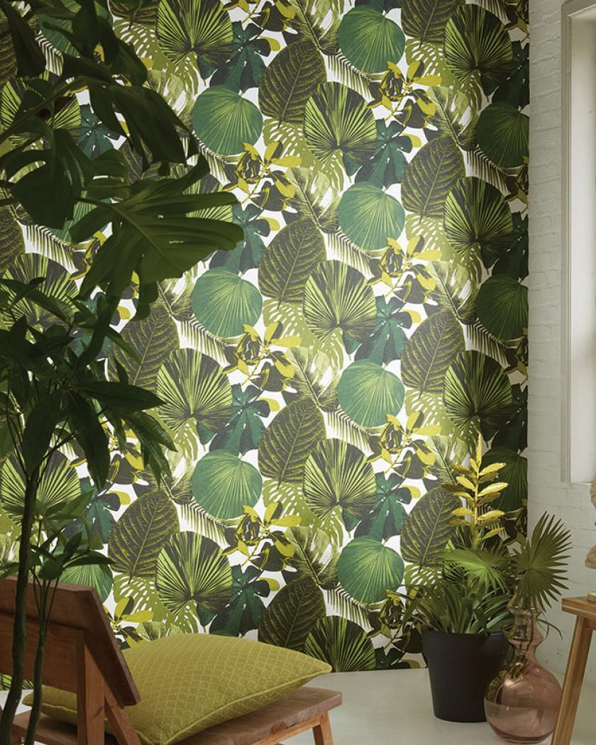 papier peint chambre tropical feuille